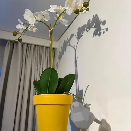 Moderne Studio Aan Zee Apartment *